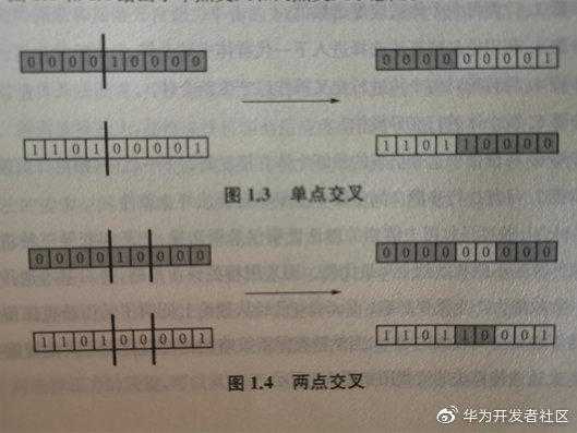 详解智能优化算法:遗传算法和蚁群算法的关系_遗传算法经典实例_https://bianchenghao6.com/blog__第2张