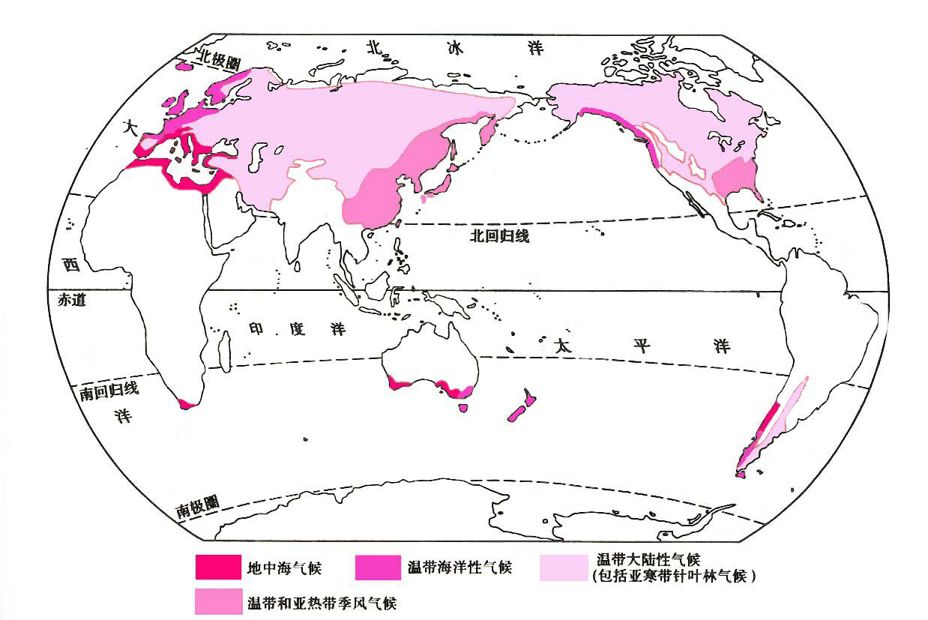 气候维度分布_世界地图气候类型分布图_https://bianchenghao6.com/blog__第11张