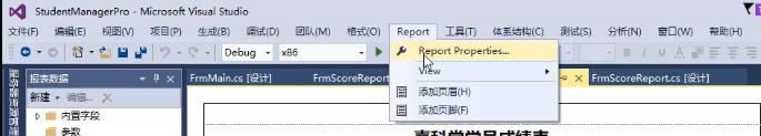 C#VS2019中ReportViewer控件和报表设计器 RDLC使用方法总结_https://bianchenghao6.com/blog__第6张