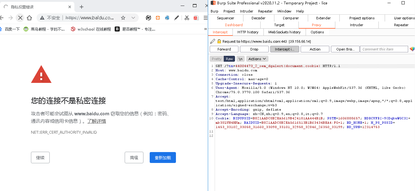 渗透测试工具之：BurpSuite_https://bianchenghao6.com/blog__第49张