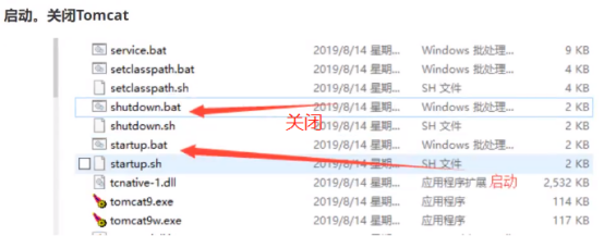 B站---【狂神说Java】JavaWeb入门到实战---笔记_https://bianchenghao6.com/blog_Java_第8张