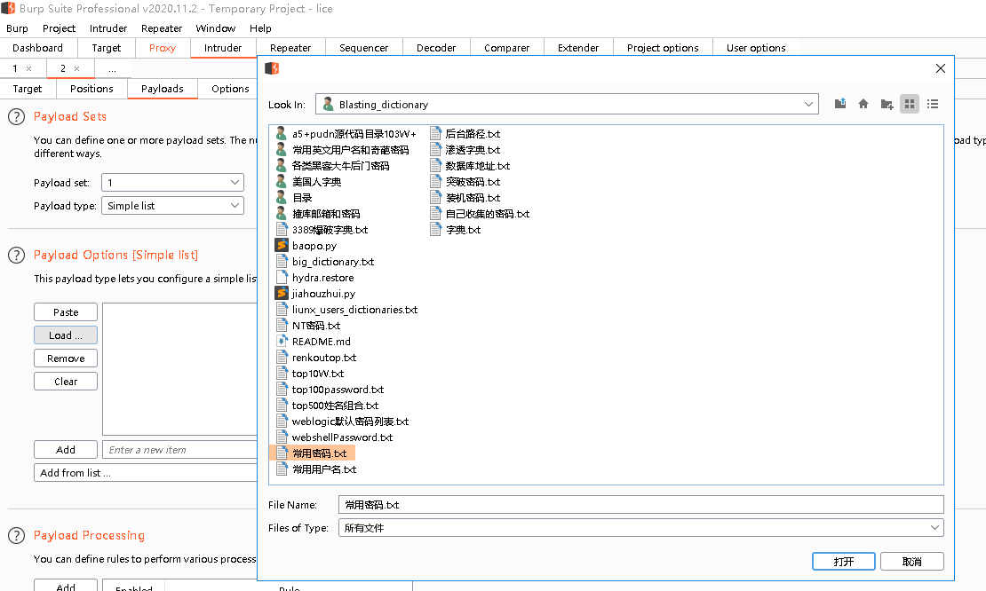 渗透测试工具之：BurpSuite_https://bianchenghao6.com/blog__第38张