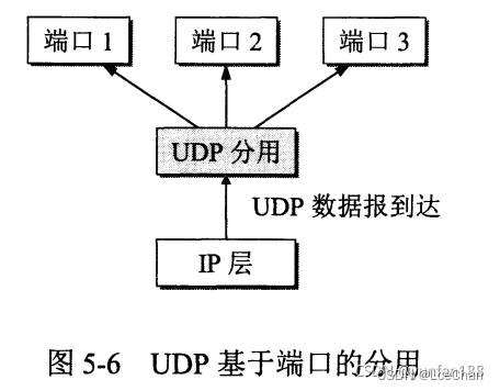 UDP协议详解_https://bianchenghao6.com/blog__第3张