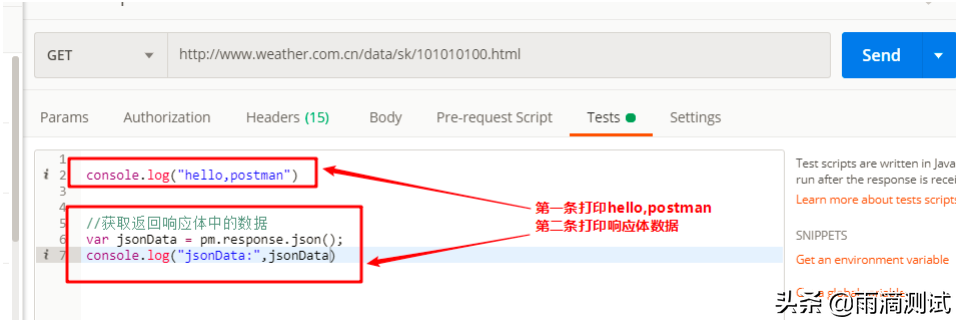 postman详细教程_postman替代工具_https://bianchenghao6.com/blog__第21张