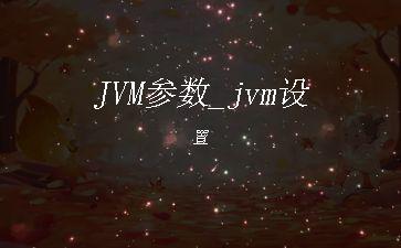 JVM参数_jvm设置"