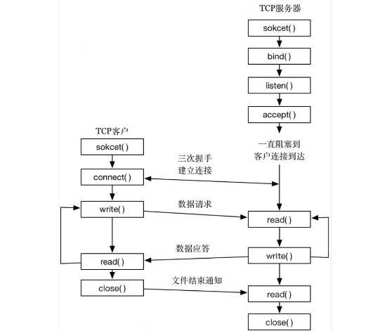 TCP socket 编程原理 及 使用 socket 发送HTTP请求