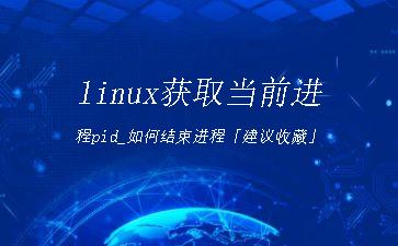 linux获取当前进程pid_如何结束进程「建议收藏」"