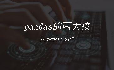 pandas的两大核心_pandas