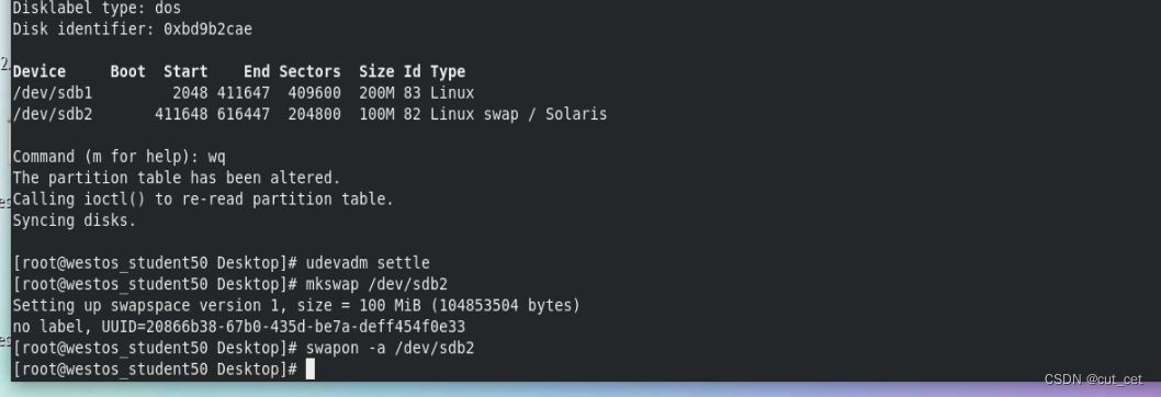 Linux存储的基本管理
