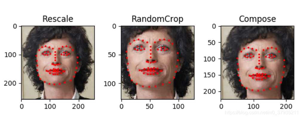 脸部关键点检测（数据读取和处理）