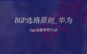BGP选路原则_华为bgp选路原则口诀"