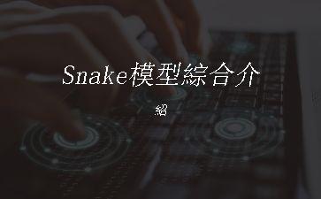 Snake模型綜合介紹"