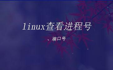 linux查看进程号、端口号"