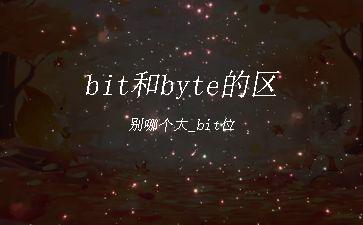 bit和byte的区别哪个大_bit位"