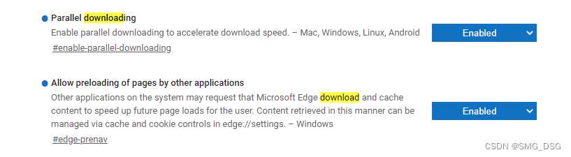 Microsoft edge浏览器下载速度太慢怎么办？今天我手把手教你提速