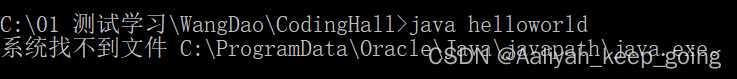 【已解决】系统找不到文件 C:\ProgramData\Oracle\Java\javapath\java.exe。