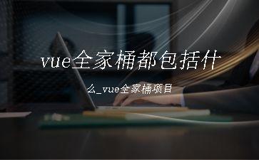 vue全家桶都包括什么_vue全家桶项目"