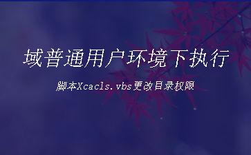 域普通用户环境下执行脚本Xcacls.vbs更改目录权限"