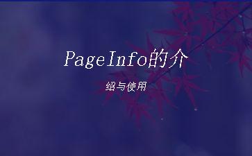 PageInfo的介绍与使用"