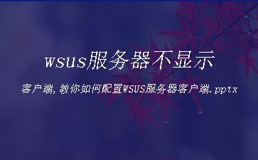 wsus服务器不显示客户端,教你如何配置WSUS服务器客户端.pptx"