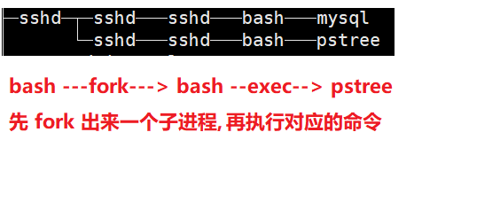 Linux必知必会,答应我拿下这些Linux必备技能