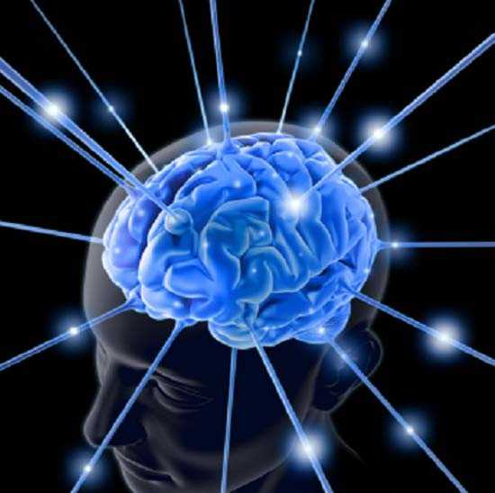 人类“超级大脑”_世界上最强大脑是谁