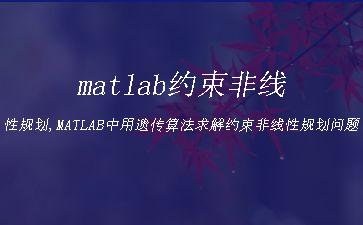 matlab约束非线性规划,MATLAB中用遗传算法求解约束非线性规划问题"