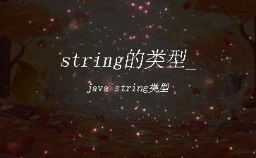 string的类型_java