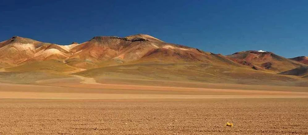 QIIME 2教程. 06沙漠土壤分析AtacamaSoil(2021.2)