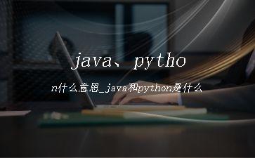 java、python什么意思_java和python是什么"