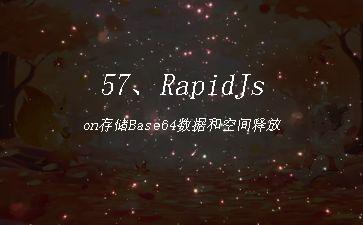 57、RapidJson存储Base64数据和空间释放"