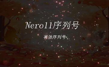 Nero11序列号