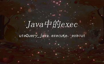 Java中的executeQuery_java