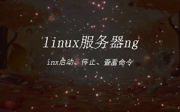 linux服务器nginx启动、停止、查看命令"