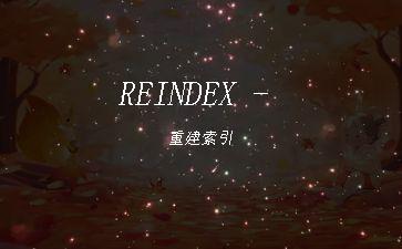 REINDEX