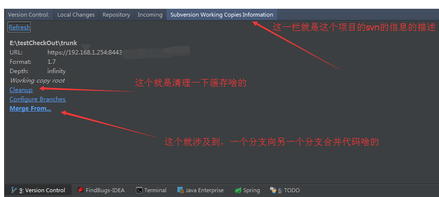 idea 使用svn_ideasvn更新本地代码