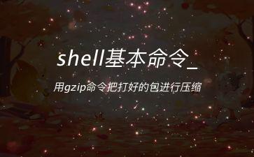 shell基本命令_用gzip命令把打好的包进行压缩"
