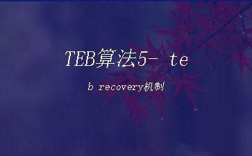TEB算法5-