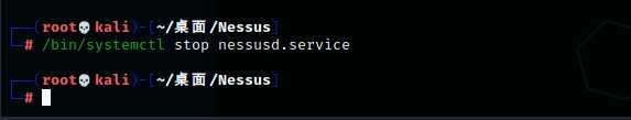 Web安全 Nessus漏洞扫描工具.