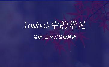 lombok中的常见注解_自定义注解解析"