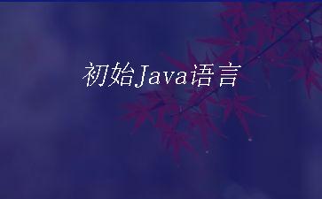 初始Java语言"