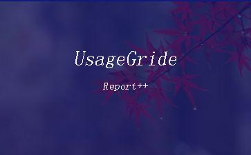 UsageGrideReport++"
