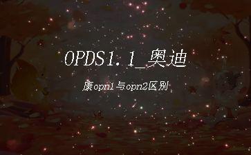 OPDS1.1_奥迪康opn1与opn2区别"