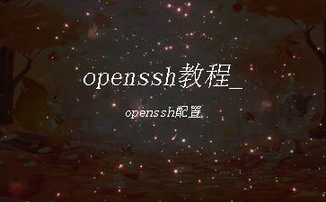 openssh教程_openssh配置"