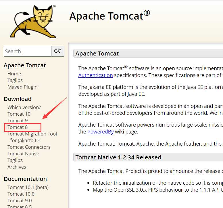 Tomcat安装步骤及详细配置教程（2022最新版）