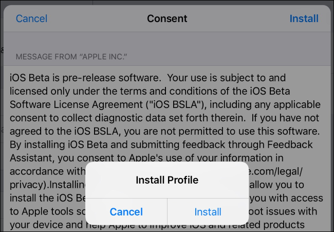 如何在iPhone或iPad上安装iOS 11 Beta