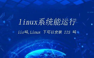 linux系统能运行iis吗,Linux