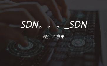 SDN。。。_SDN是什么意思"