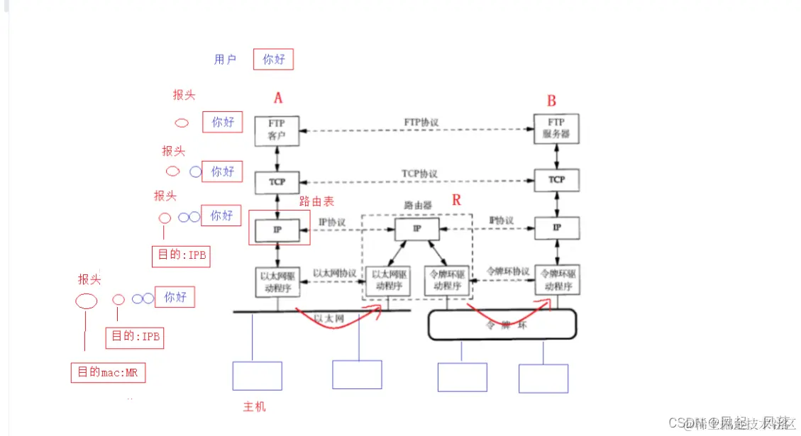 【计算机网络】网络基础